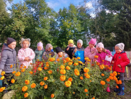 "Осенняя прогулка"🍁 "Осенняя прогулка"🍁.